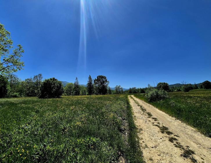 Teren agricol extravilan de 823 mp, în Șinca Nouă