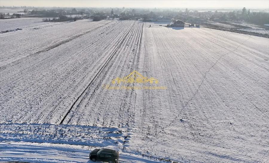 Teren de 7470 mp, în Trestieni
