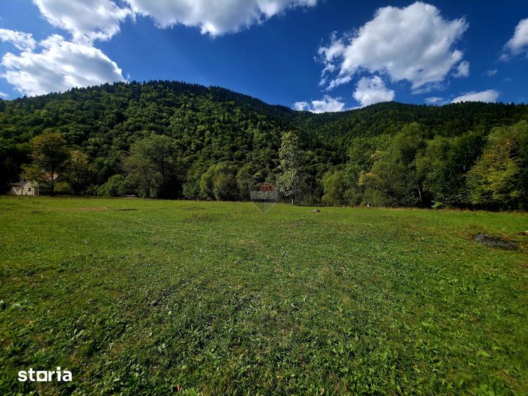 Teren de 1113 mp, în Tarcău