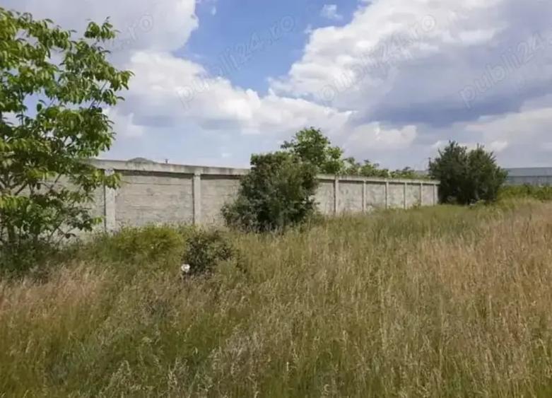 Teren de 1600 mp, în Dragomirești-Vale