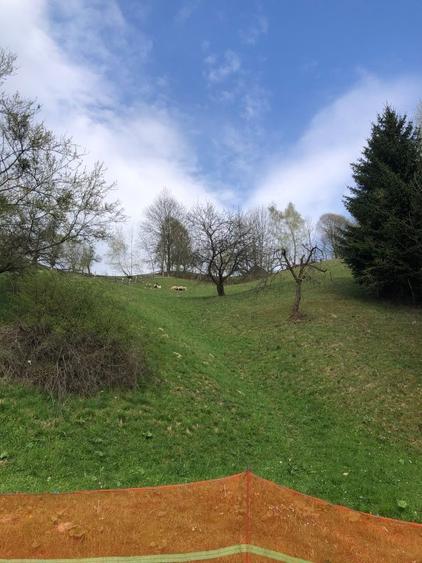 Teren investiție, de 3,879 mp, în Bran