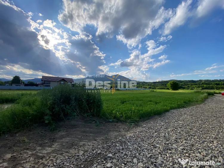 Teren de 735 mp, în Alexandru cel Bun