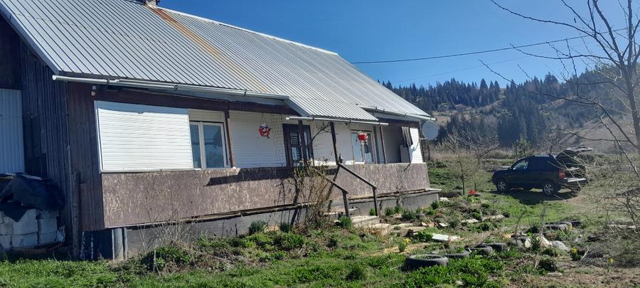 Vând casa batraneasca și teren 3892m  - 6