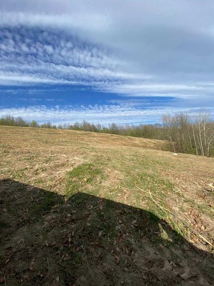 Pasune cu padure 5.5 ha sat Dumbravita Com Barzava - 4