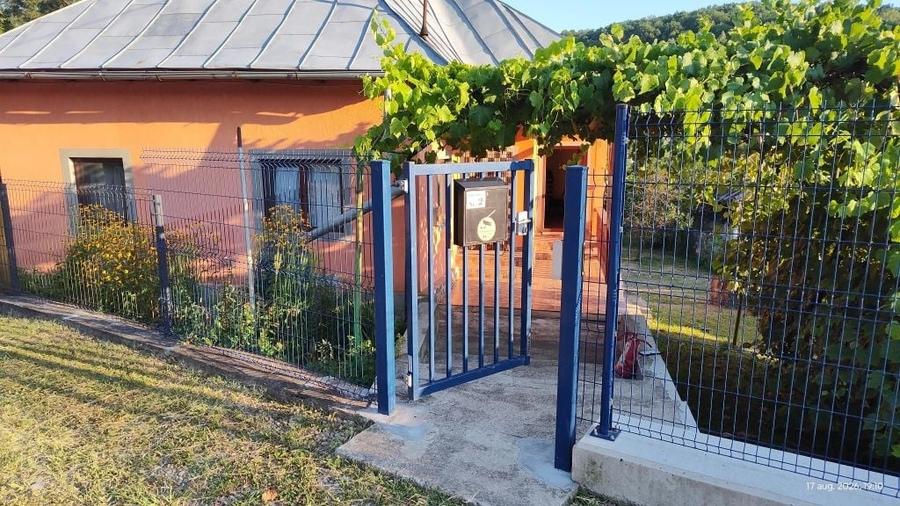Casă cu 4 camere în Trestioara
