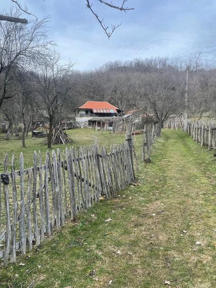 Casă cu Teren 15000 Mp în Central