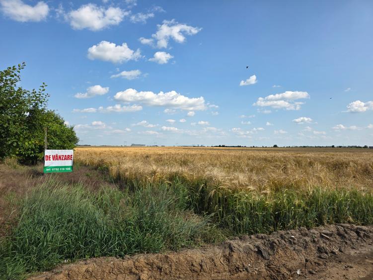 Teren Construcții intravilan de 12651 mp, în Sud