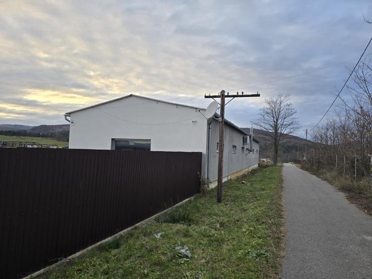 Spațiu industrial, de 300 mp, în Cărpinet