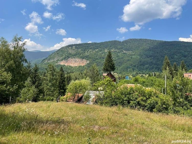 Teren de 4534 mp, în Câmpu lui Neag