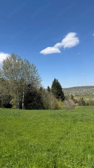 Teren de 2100 mp, în Putna