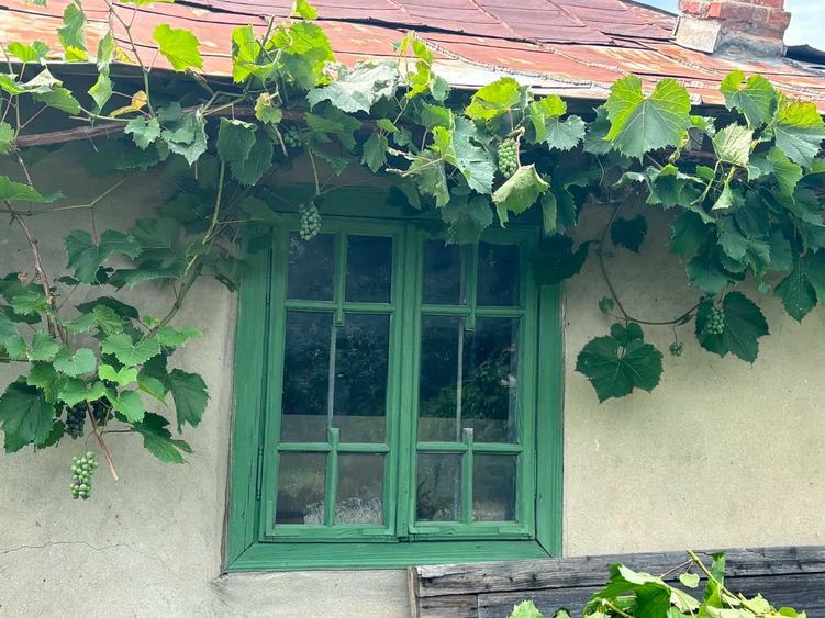 Casă cu 3 camere în Fințești