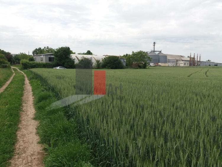 Teren Construcții intravilan de 3000 mp, în Sud