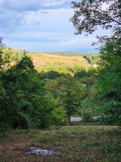 Teren intravilan de 1475 mp, în Central