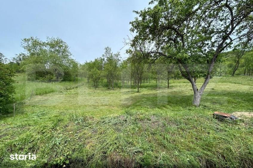 Casă cu 8 camere cu Teren 8700 Mp în Mintiu Gherlii
