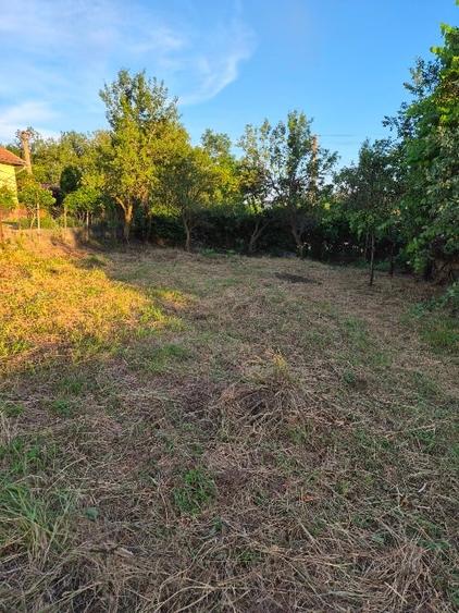 Casă individuală cu 3 camere cu Teren 700 Mp în Dăbâca