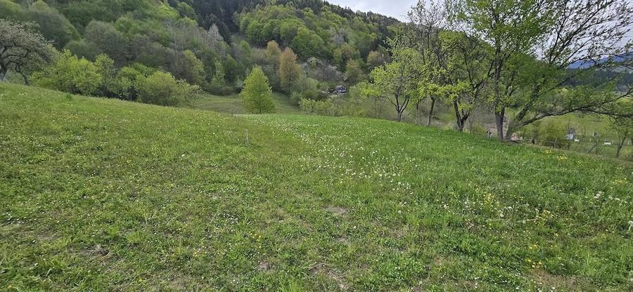 Teren de 30000 mp, în Leordina