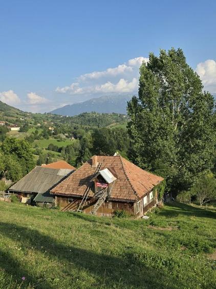 Teren de 12000 mp, în Bran