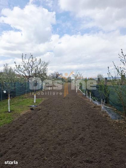Casă cu 3 camere cu Teren 2121 Mp în Vadu Crișului