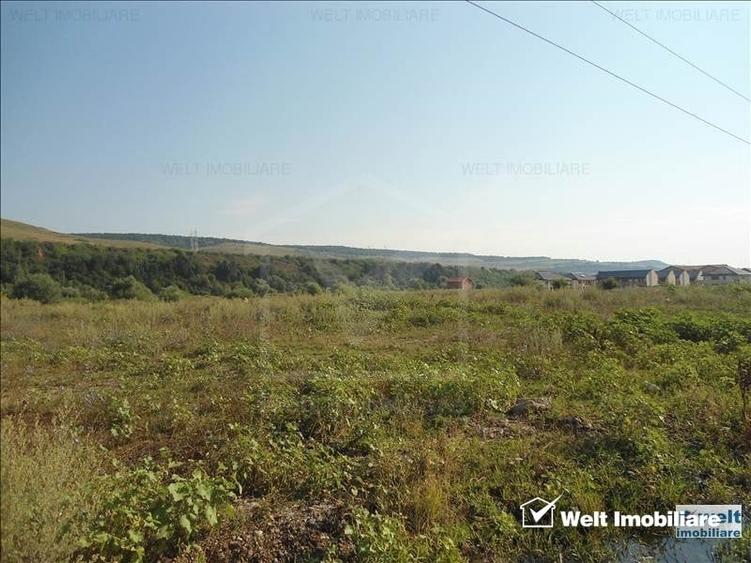 Teren Construcții intravilan de 6186 mp, în Florești