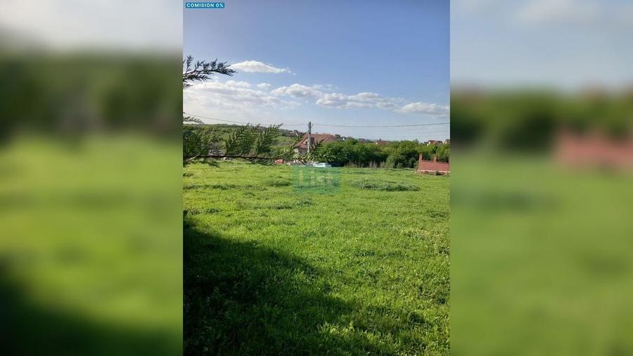 Teren agricol intravilan de 1938 mp, în Paleu