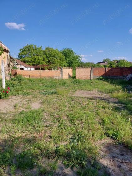 Casă cu 4 camere cu Teren 3000 Mp în Secusigiu