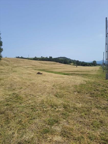 Teren agricol intravilan de 60000 mp, în Copalnic-Mănăștur