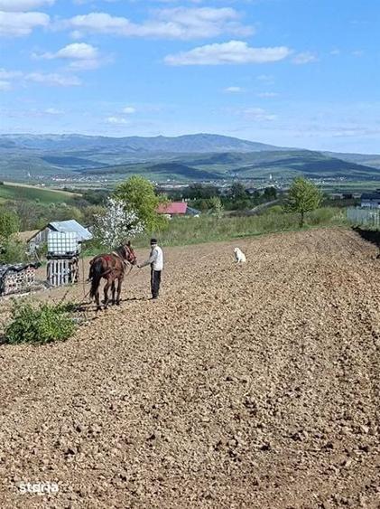 Teren de 1000 mp, în Budacu de Jos