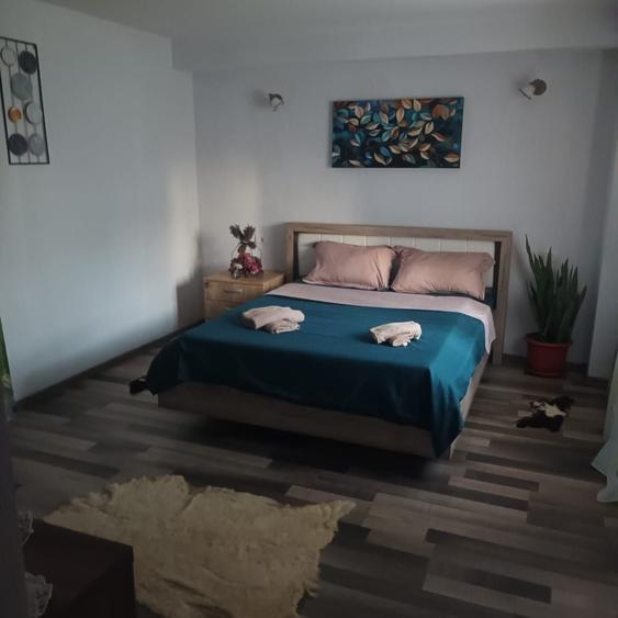 Casă cu 4 camere cu Teren 1100 Mp în Central