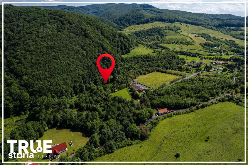 Teren de 2800 mp, în Eremitu