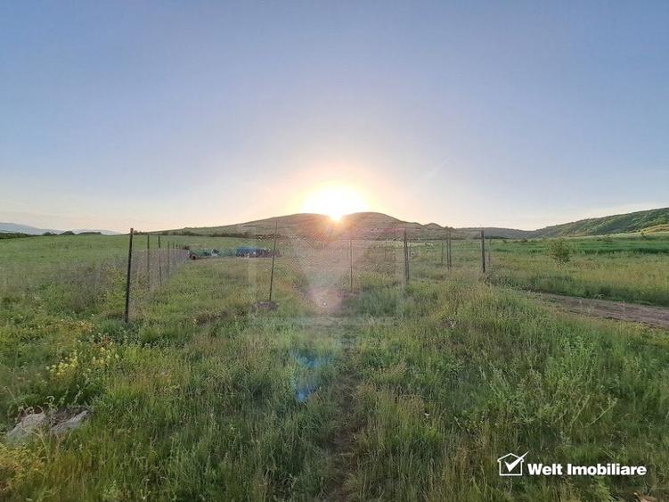 Teren agricol extravilan de 2900 mp, în Florești