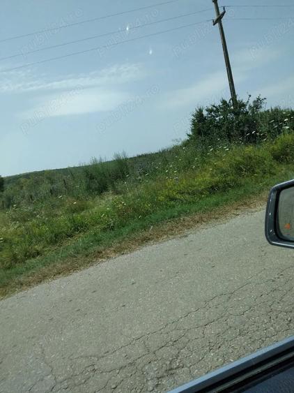 Teren de 40000 mp, în Murani