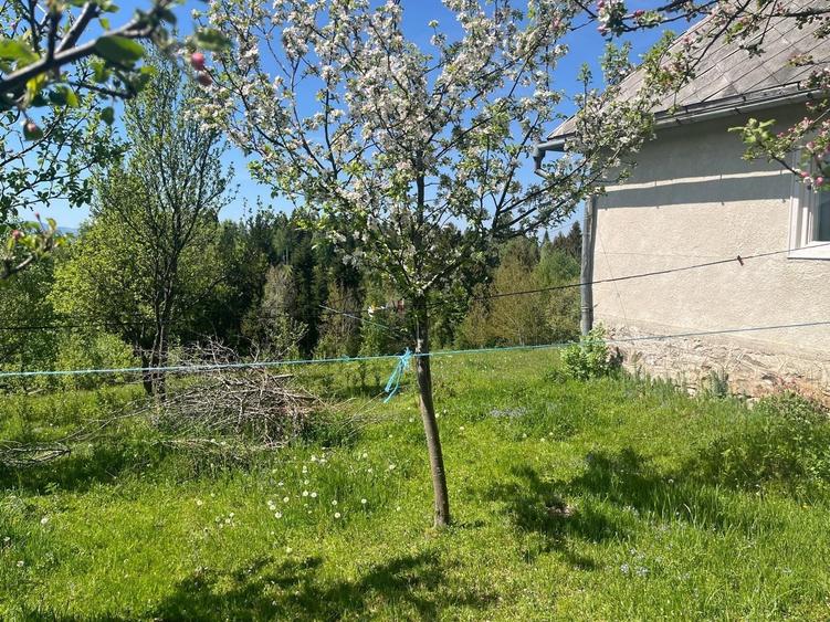 Casă cu 2 camere în Dealu Negru
