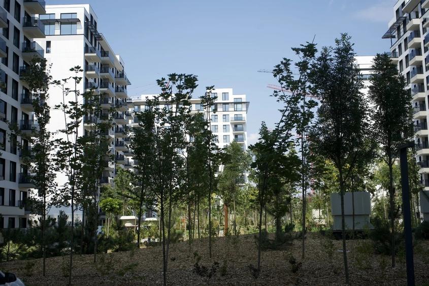 Apartament 4 camere cu gradina de 195 mp | Geamuri Schüco, parchet triplustratif - 4