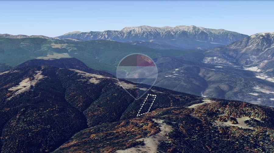Teren agricol extravilan de 7000 mp, în Gârcini