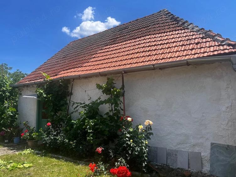 Casă cu Teren 2900 Mp în Jamu Mare