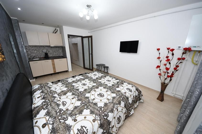 Garsonieră în Țiglina 1