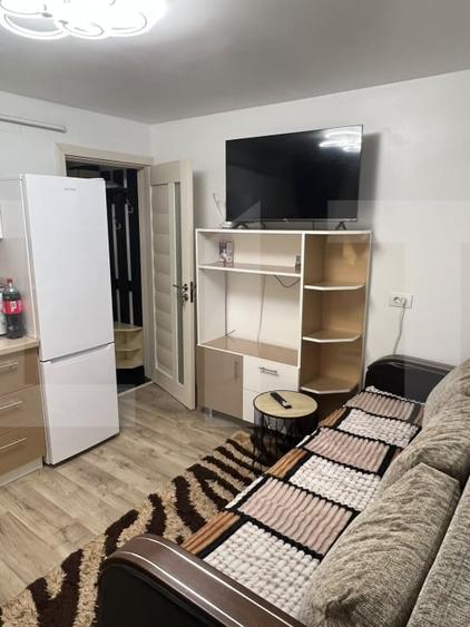 Apartament cu 2 camere decomandat, mobilat în Valea Rosie