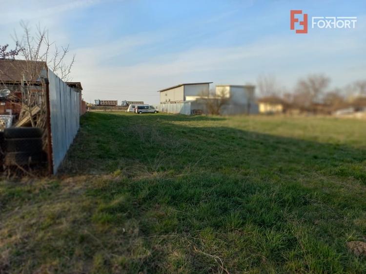Teren Construcții intravilan de 3156 mp, în Ghiroda