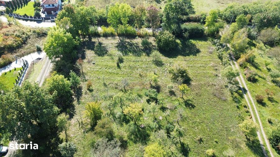 Teren de 2812 mp, în Viile Satu Mare