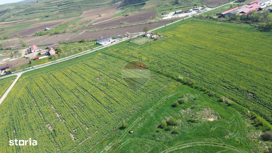 Teren de 192016 mp, în Central