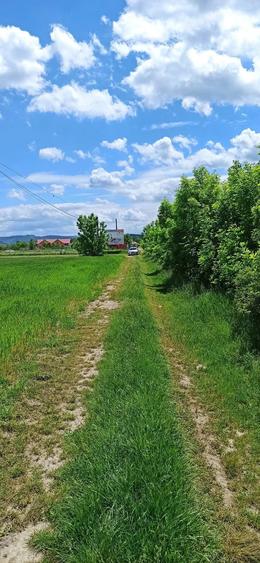 Teren de 3070 mp, în Central