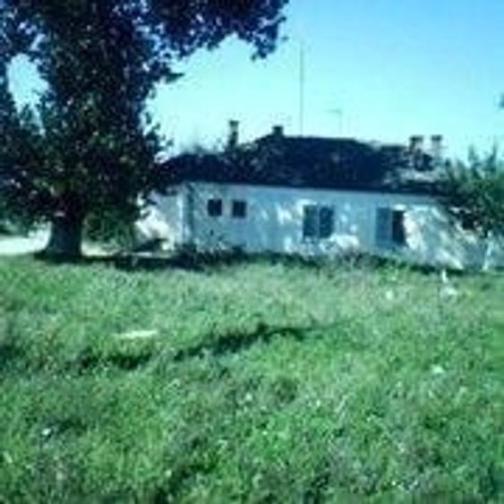Teren de 63000 mp, în Halmeu