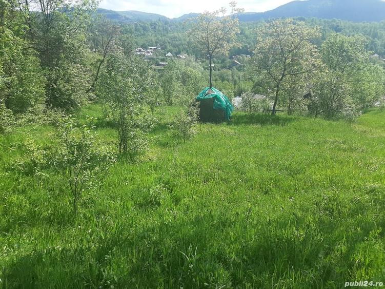 Teren de 1272 mp, în Ghioșești