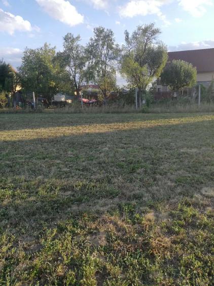 Teren de 2023 mp, în Săcălășeni