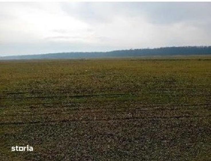 Teren de 635 mp, în Hârsești