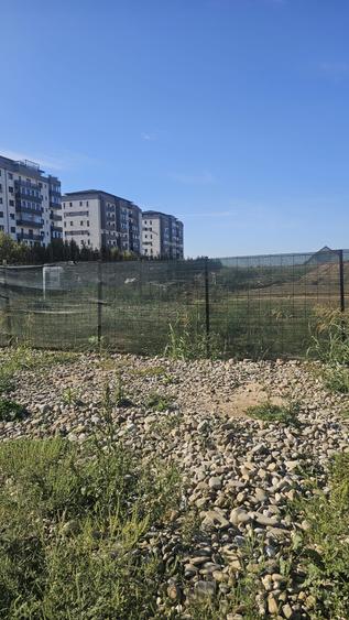 Teren Construcții intravilan de 5000 mp, în Dobroești