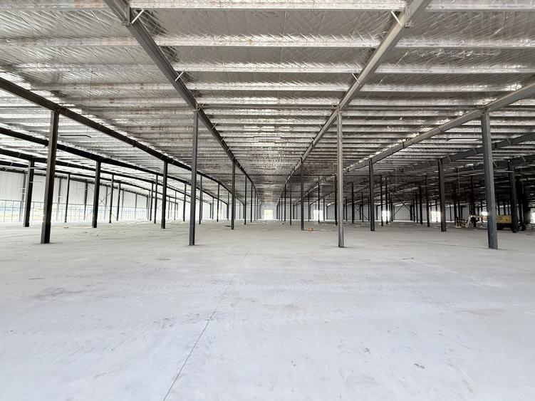 Spațiu industrial, de 16,000 mp, în Afumați