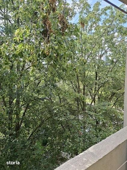 Apartament de vanzare la faleza in Grigorescu - 4