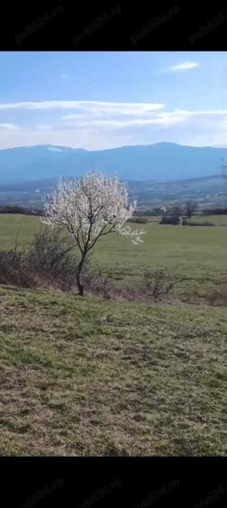 Teren de 2900 mp, în Central
