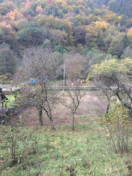 Teren în Sibișel (Beriu)